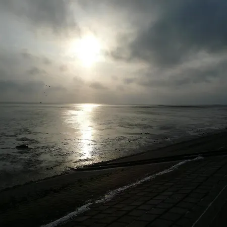 Korthals 41 Appartamento *