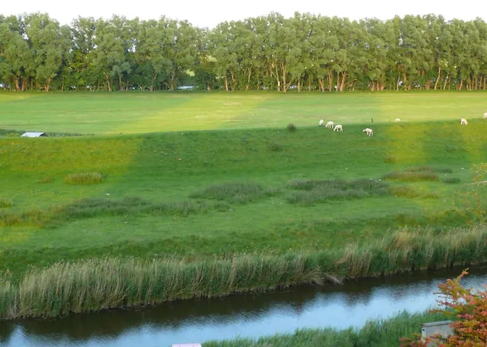 Korthals 41 Apartman Schillig