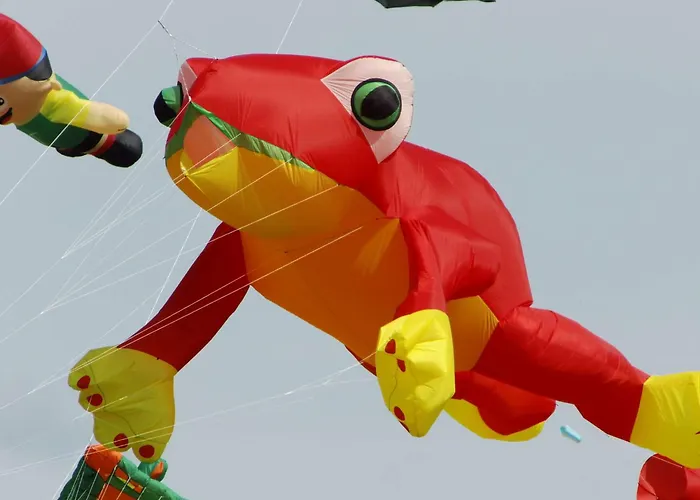 Korthals 41 Schillig