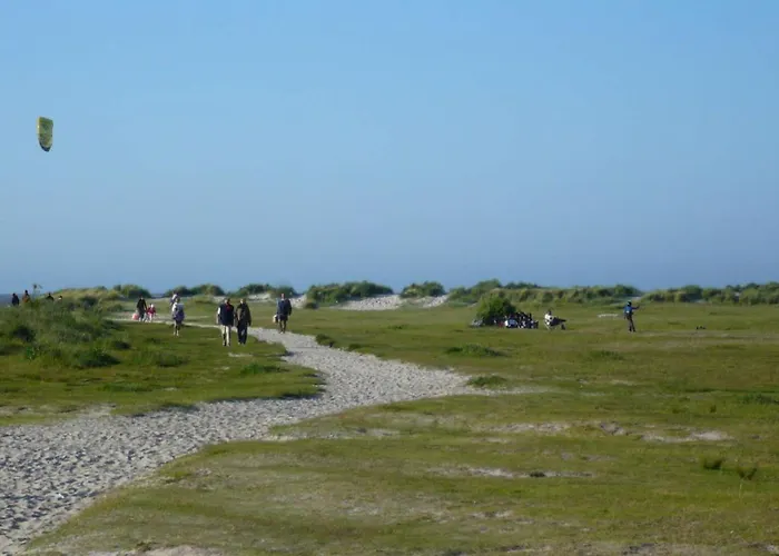 Korthals 41 Apartman *